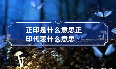 正印是什么意思 正印代表什么意思