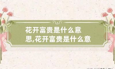 花开富贵是什么意思,花开富贵是什么意思