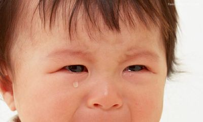 四个字的家族名字霸气
