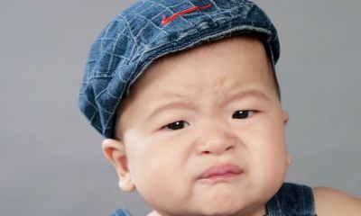 2019属猪本命年相克生肖