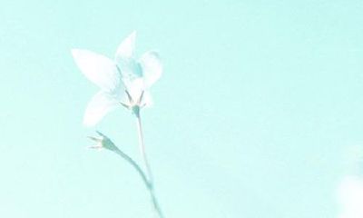 宝宝取名之希望子成龙