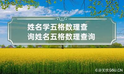 姓名学五格数理查询 姓名五格数理查询