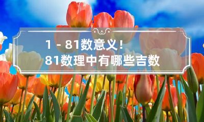 1-81数意义!81数理中有哪些吉数 数理1一81数吉凶 周易