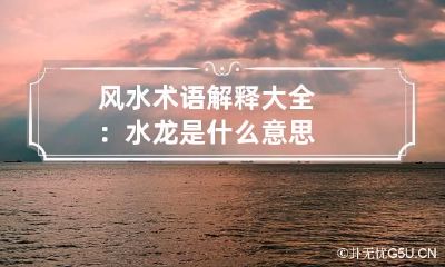 风水术语解释大全:水龙是什么意思