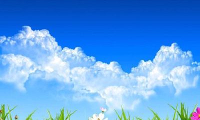 给猴宝宝取个有色彩的名字