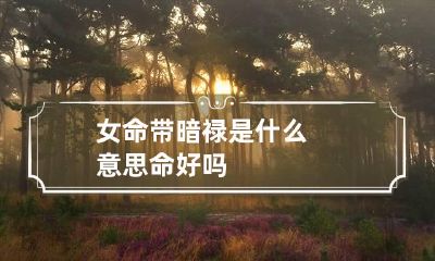 女命带暗禄是什么意思 命好吗