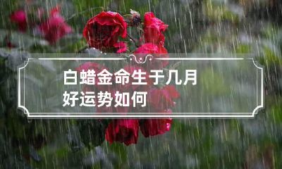 白蜡金命生于几月好 运势如何