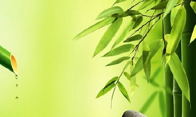 宝宝取名如何彰显思想品质