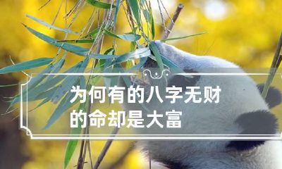 为何有的八字无财的命却是大富