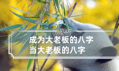 成为大老板的八字 当大老板的八字