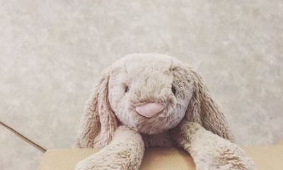 成语起名女孩狗宝宝