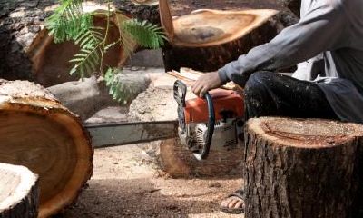 鼻子小的男性的财运好不好?对妻子好不好?