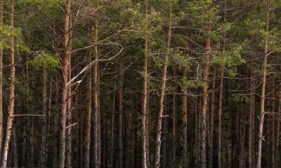 小心眼的女生长什么样?心眼小的女人有什么面相特征?