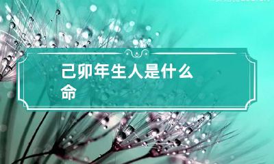 己卯年生人是什么命