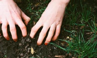 歪嘴女人的面相代表什么解析