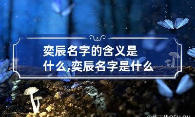 奕辰名字的含义是什么,奕辰名字是什么意思
