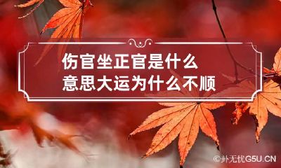 伤官坐正官是什么意思 大运为什么不顺