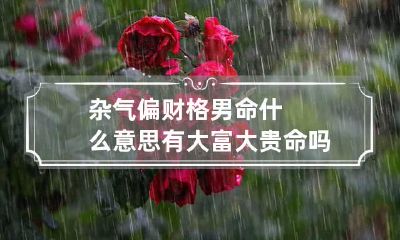 杂气偏财格男命什么意思 有大富大贵命吗