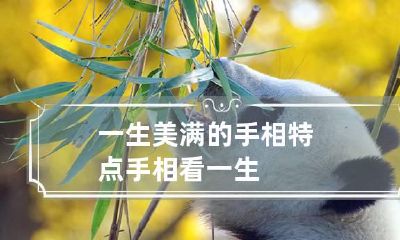 一生美满的手相特点 手相看一生