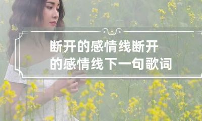 断开的感情线 断开的感情线下一句歌词