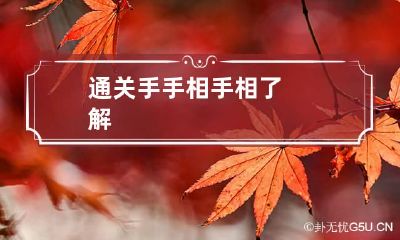 通关手手相 手相了解
