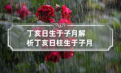 丁亥日生于子月解析 丁亥日柱生于子月