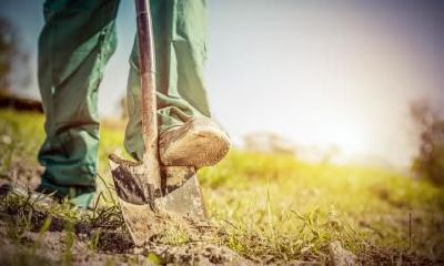 男人精明能干的面相特征有哪些?