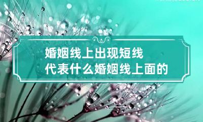 婚姻线上出现短线代表什么 婚姻线上面的线是什么