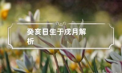 癸亥日生于戌月解析