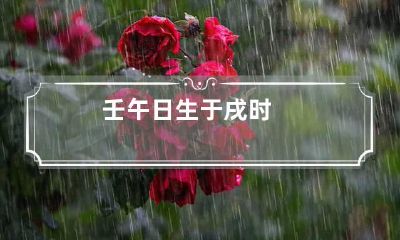 壬午日生于戌时