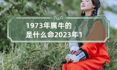 1973年属牛的是什么命 2023年1973年属牛的是什么命