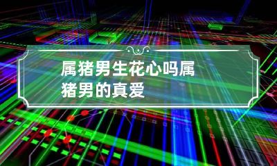 属猪男生花心吗 属猪男的真爱