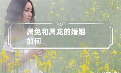 属免和属龙的婚姻如何