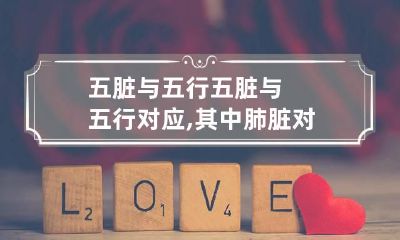 五脏与五行 五脏与五行对应,其中肺脏对应的是五行中(