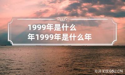 1999年是什么年 1999年是什么年代
