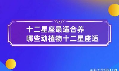 十二星座最适合养哪些动植物 十二星座适合养什么植物