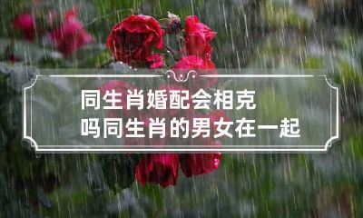 同生肖婚配会相克吗 同生肖的男女在一起结婚会幸福吗?