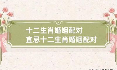 十二生肖婚姻配对宜忌 十二生肖婚姻配对宜忌大全