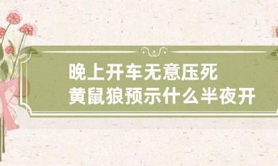 晚上开车无意压死黄鼠狼预示什么 半夜开车压死黄鼠狼
