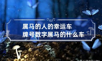 属马的人的幸运车牌号数字 属马的什么车号码是吉祥号码