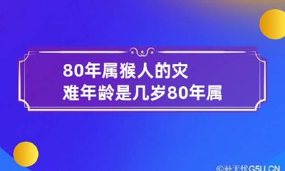 80年属猴人的灾难年龄是几岁 80年属猴的劫难