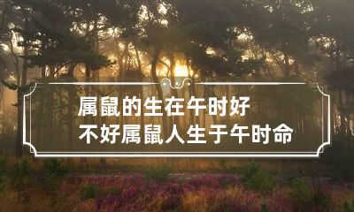 属鼠的生在午时好不好 属鼠人生于午时命运