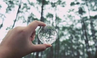 瓜子脸的人性运势如何?好不好?