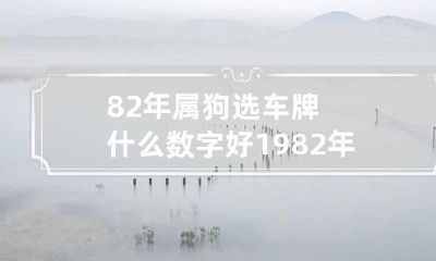 82年属狗选车牌什么数字好 1982年出生的人车牌选什么数字好