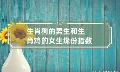 生肖狗的男生和生肖鸡的女生缘份指数