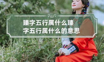 臻字五行属什么 臻字五行属什么的意思