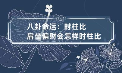 八卦命运:时柱比肩坐偏财会怎样 时柱比肩坐偏财是什么意思