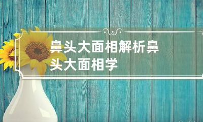 鼻头大面相解析 鼻头大面相学