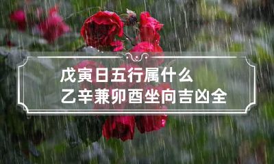戊寅日五行属什么 乙辛兼卯酉坐向吉凶全解