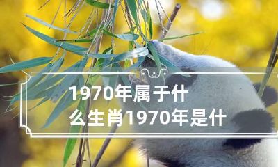 1970年属于什么生肖 1970年是什么生肖